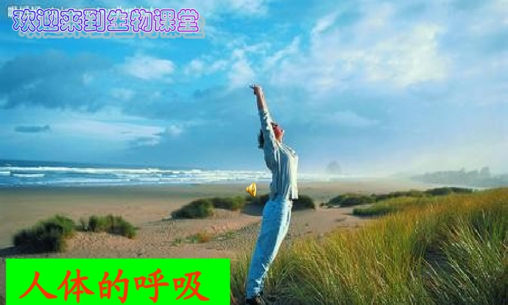 人体的呼吸（丁家志）