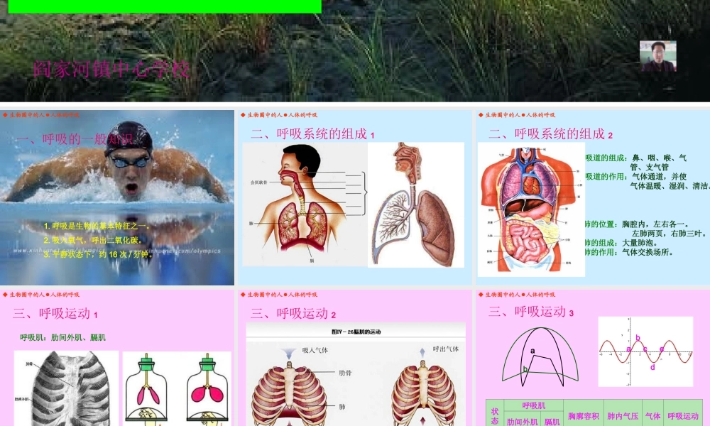 人体的呼吸（丁家志）