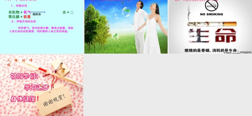 人体的呼吸（丁家志）