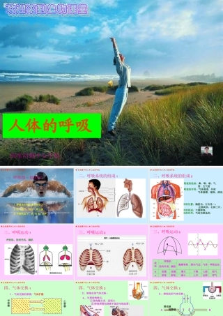 人体的呼吸（丁家志）