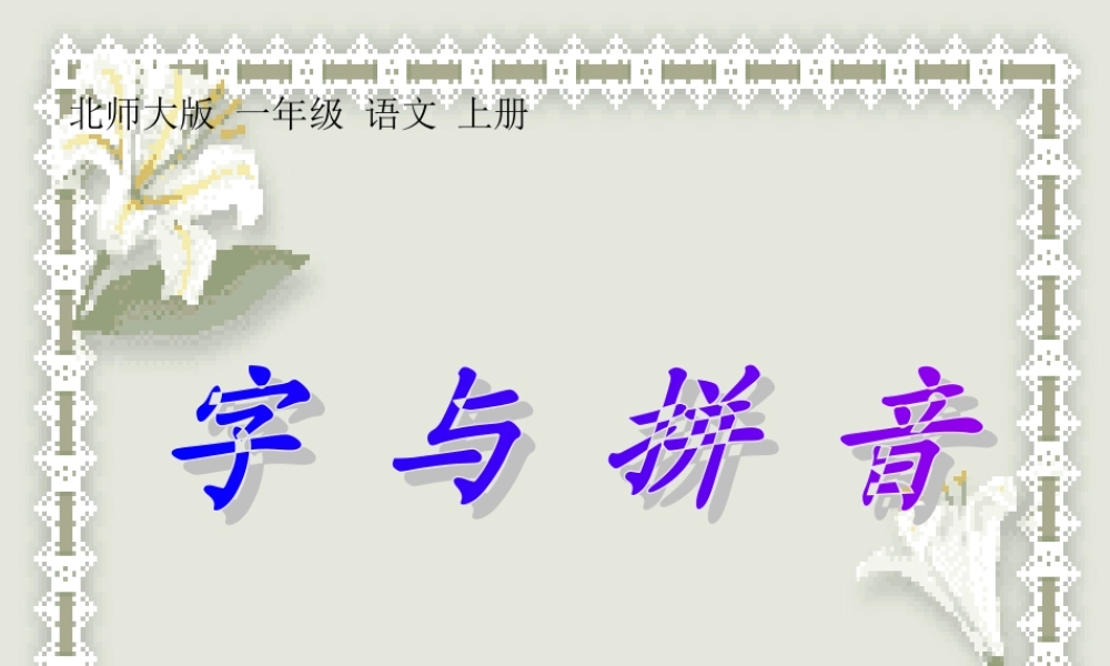 字与拼音_a_o_e课件