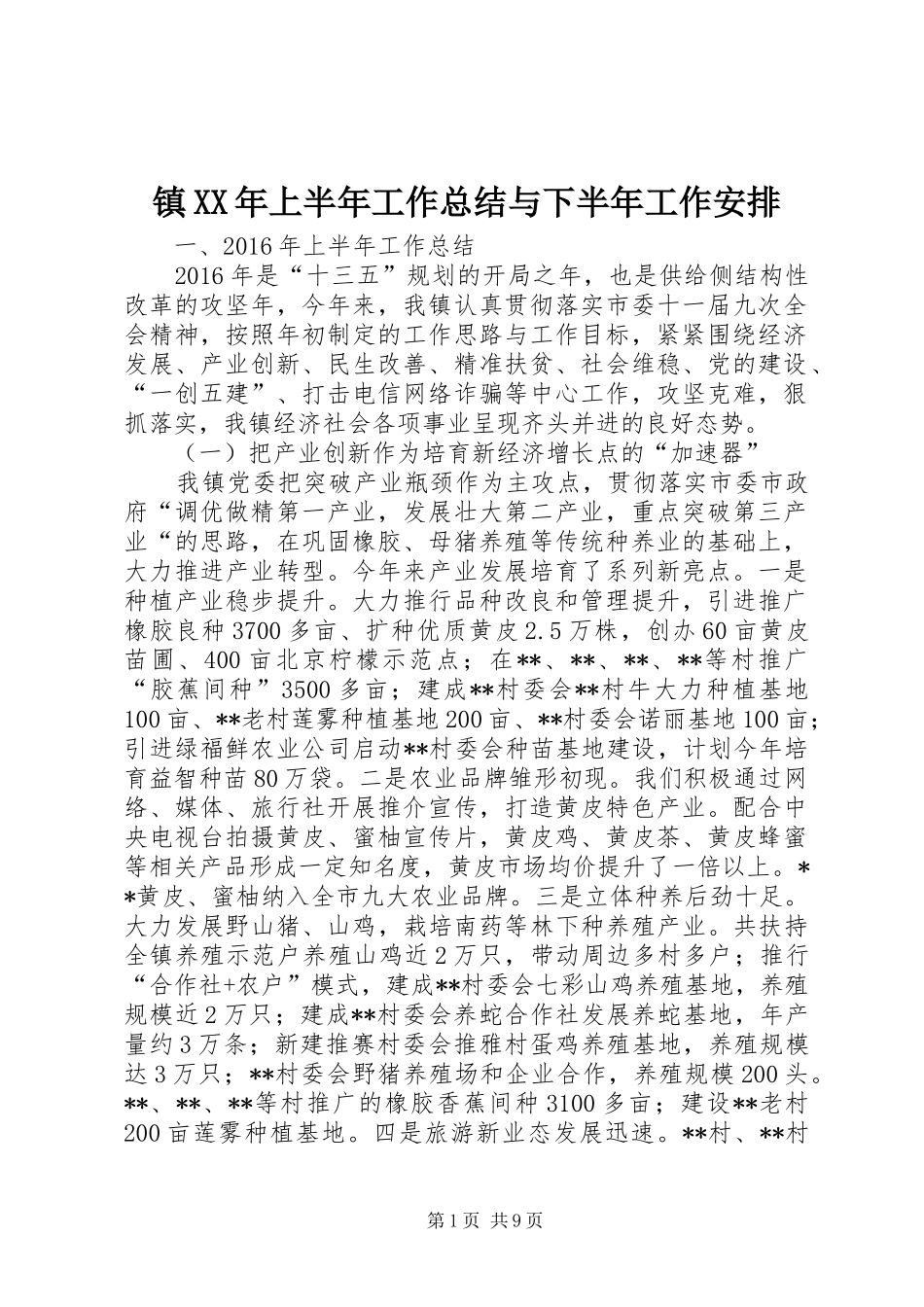 镇XX年上半年工作总结与下半年工作安排_1_第1页