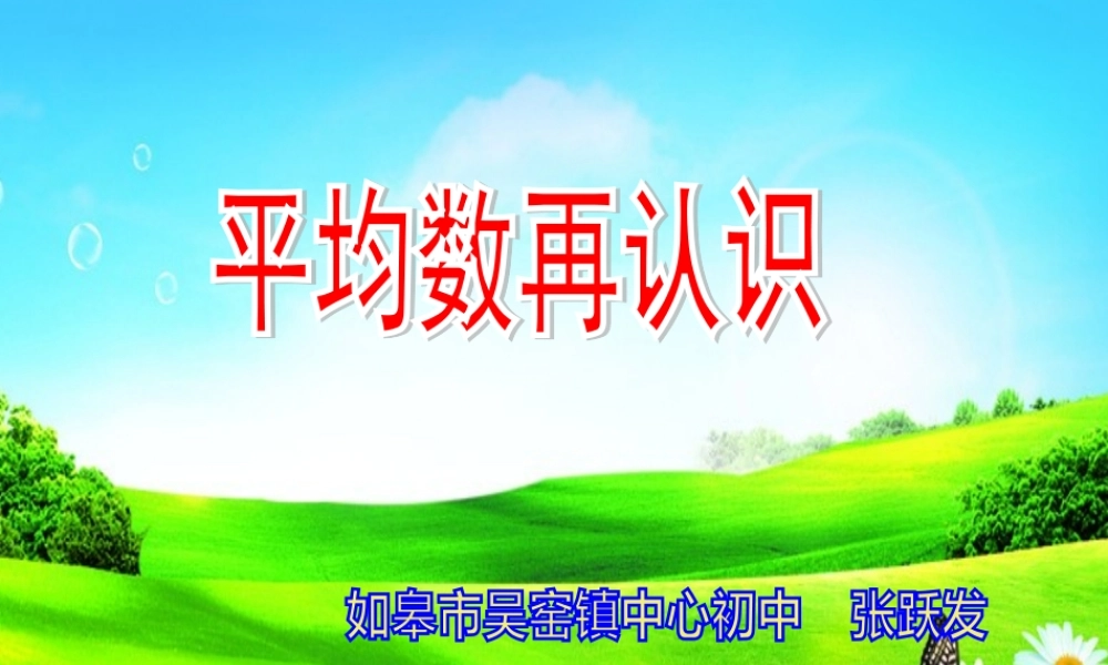 平均数再认识(13年赛课课件4)