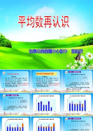 平均数再认识(13年赛课课件4)