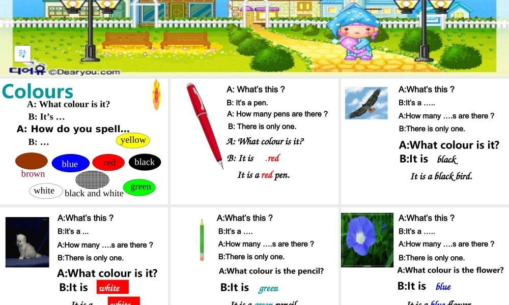 七年级上预备篇课件