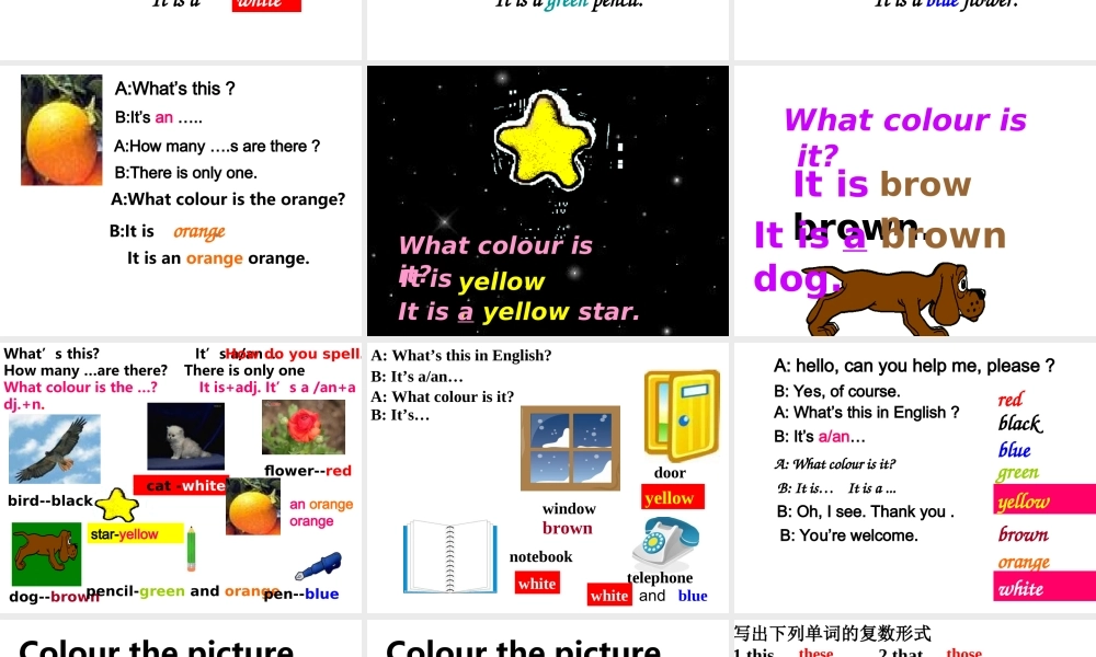 七年级上预备篇课件