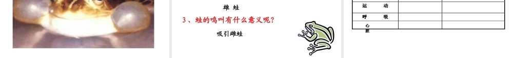 第三节《两栖动物的生殖和发育