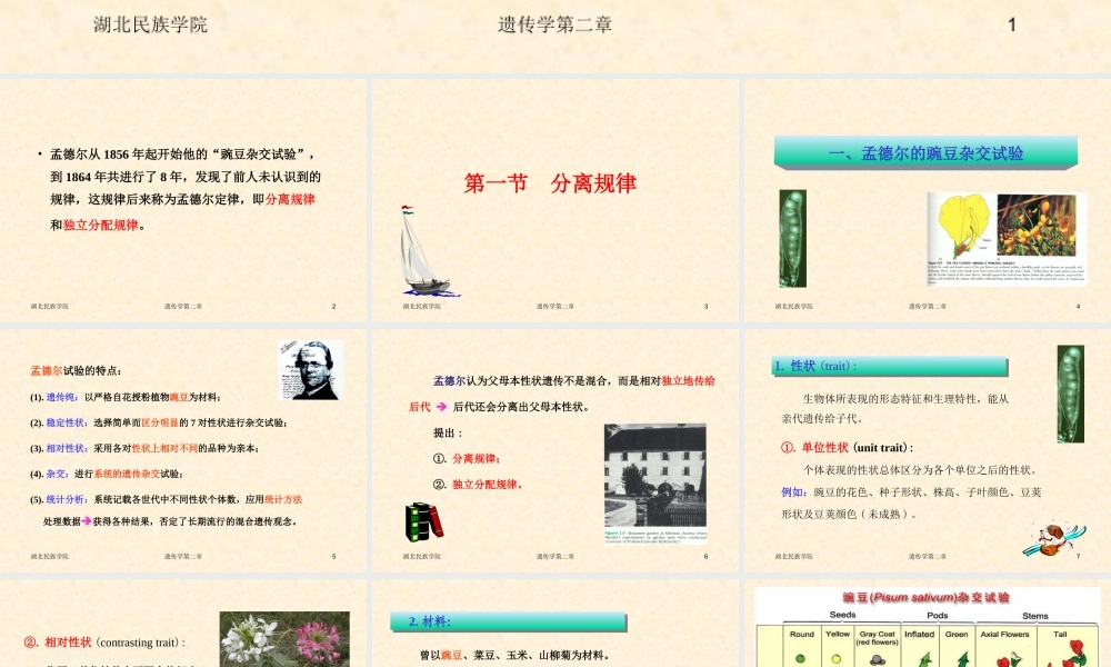 遗传学第二章孟德尔遗传