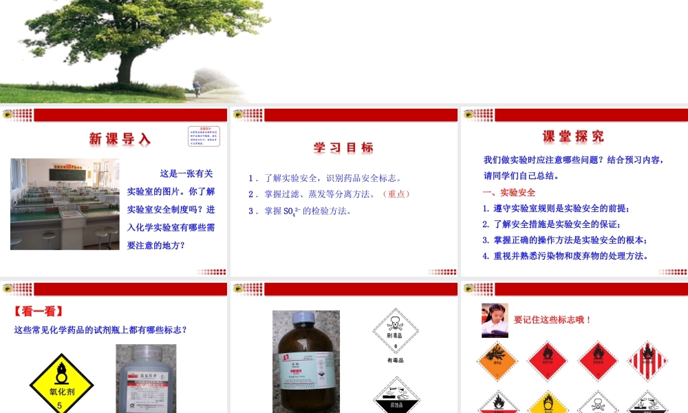 高中一年级化学必修1第一章从实验学化学第一节化学实验基本方法第一课时课件