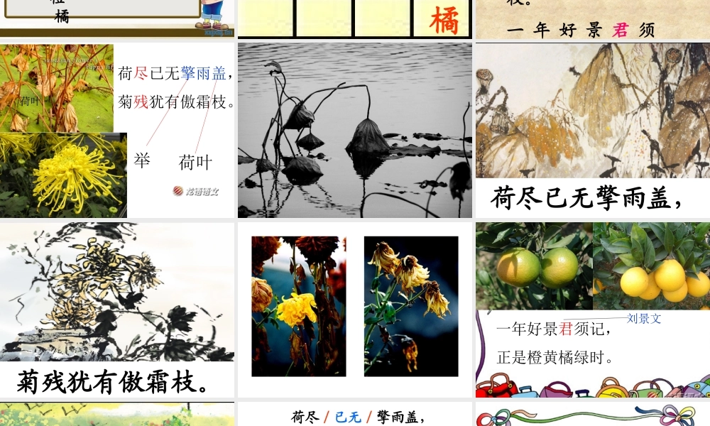 二年级上册4古诗两首课件