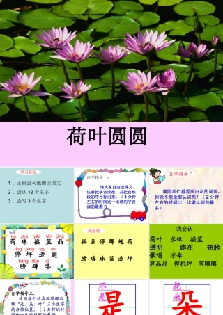 《荷叶圆圆》课件【35页】