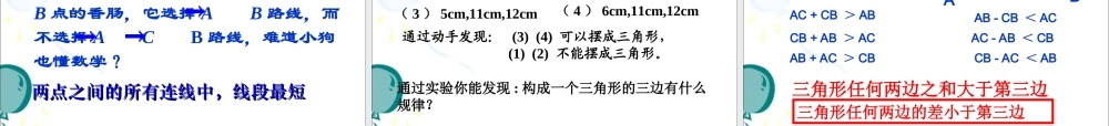 《三角形的边》参考课件1