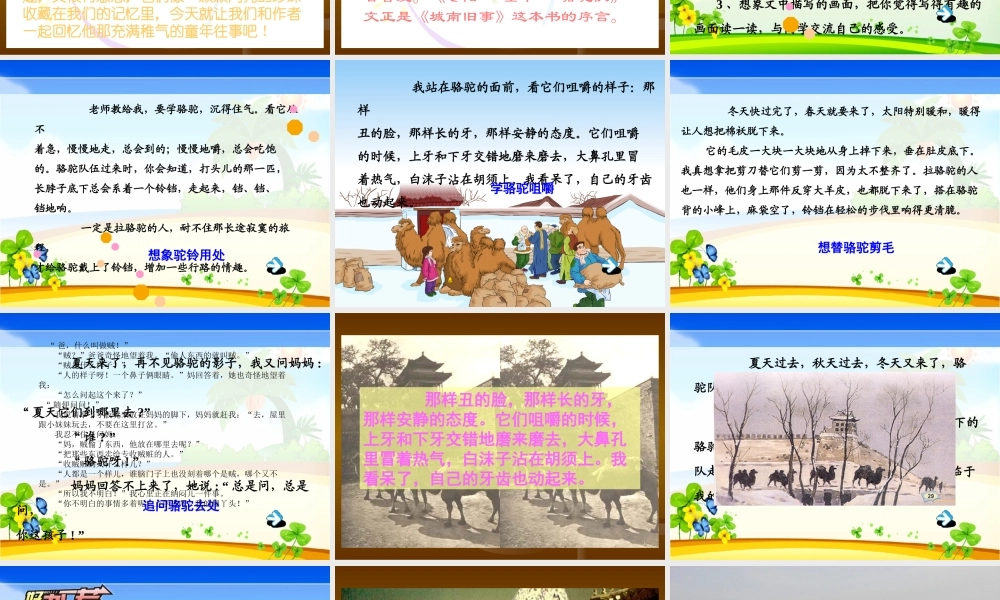 冬阳童年骆驼队(整理)