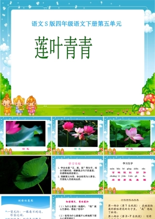 莲叶青青课件