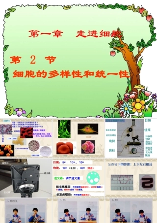 细胞的多样性和统一性