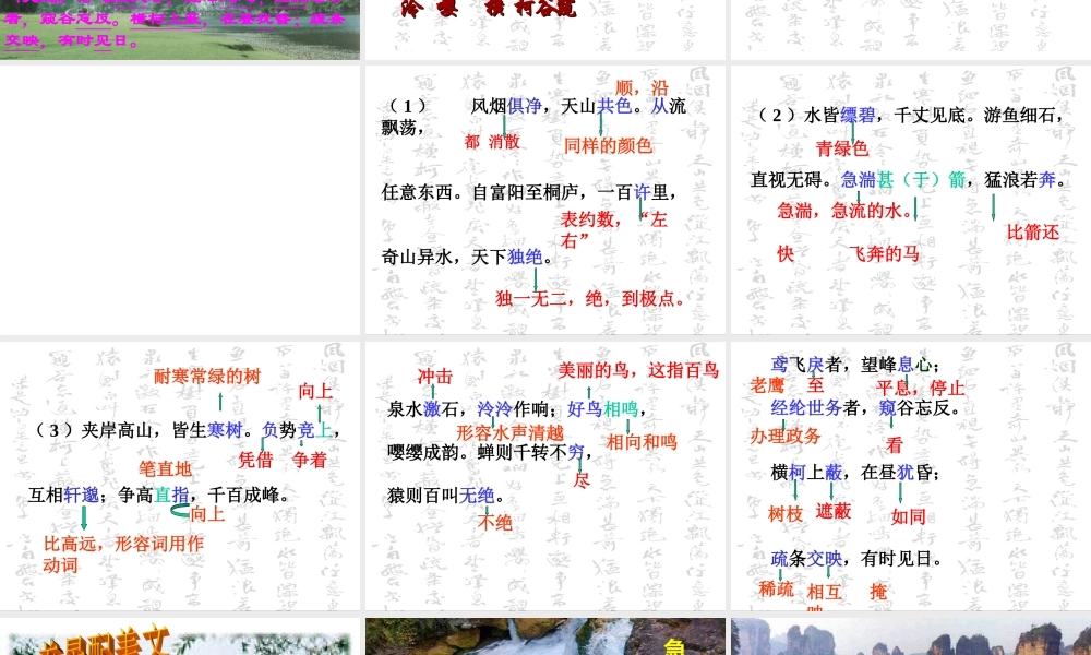 与朱元思书(高江玲)