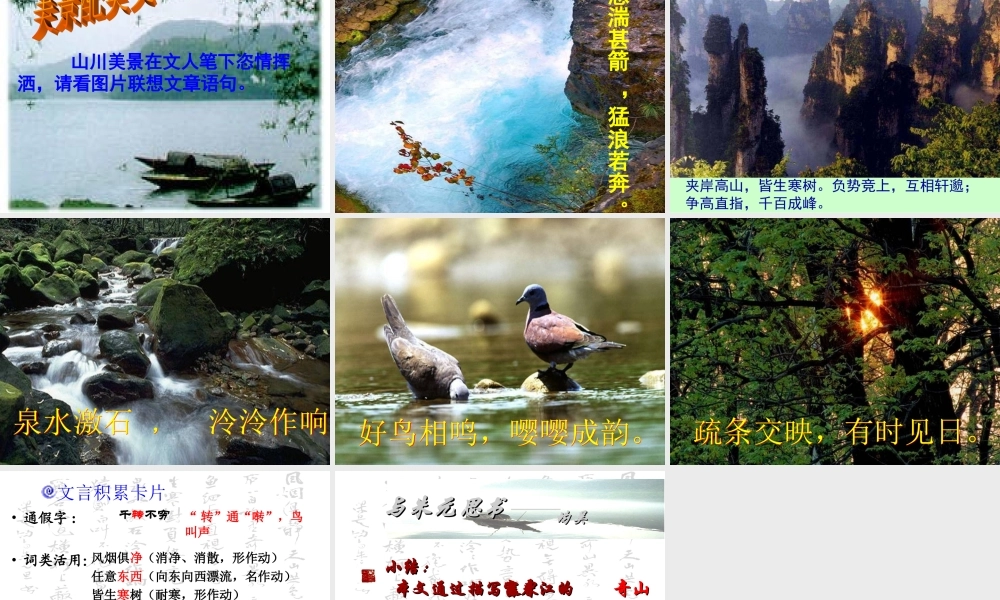 与朱元思书(高江玲)