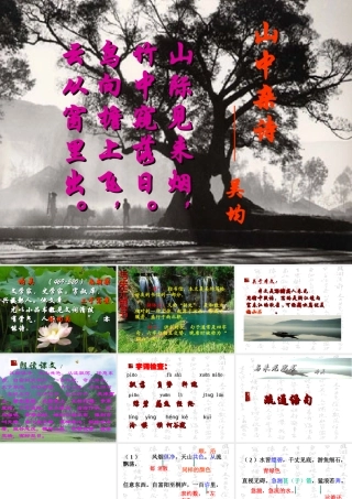 与朱元思书(高江玲)