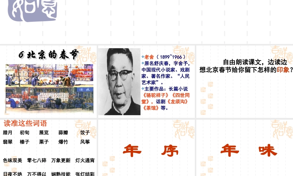 北京的春节第一二课时