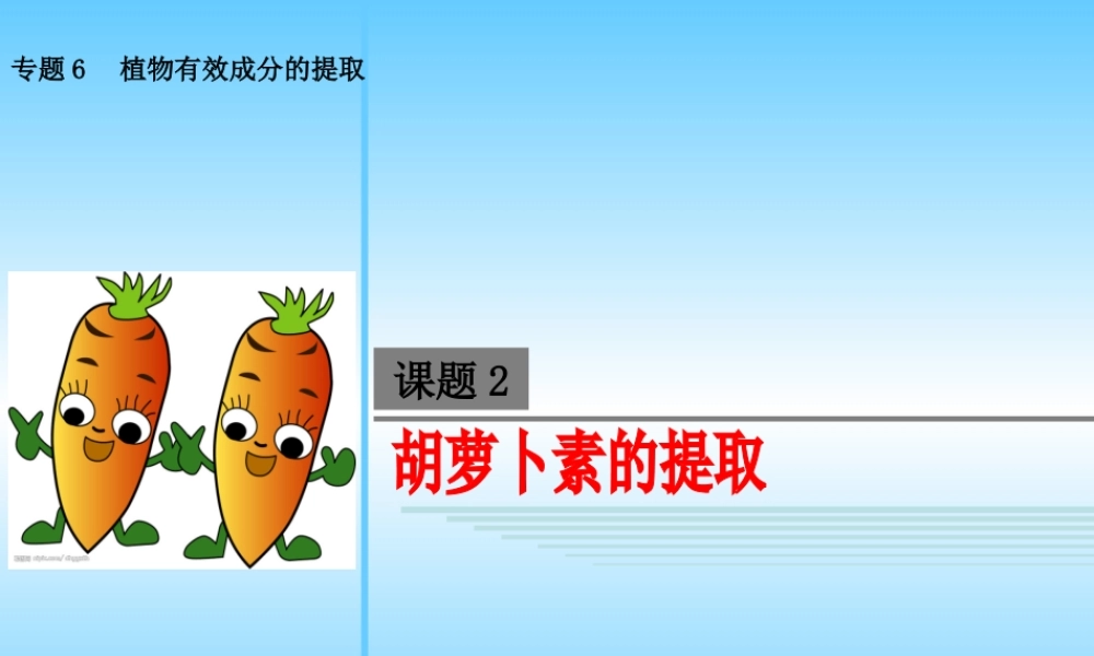 胡萝卜素的提取