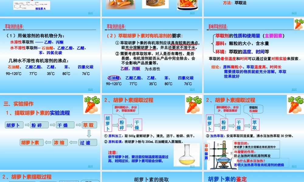 胡萝卜素的提取