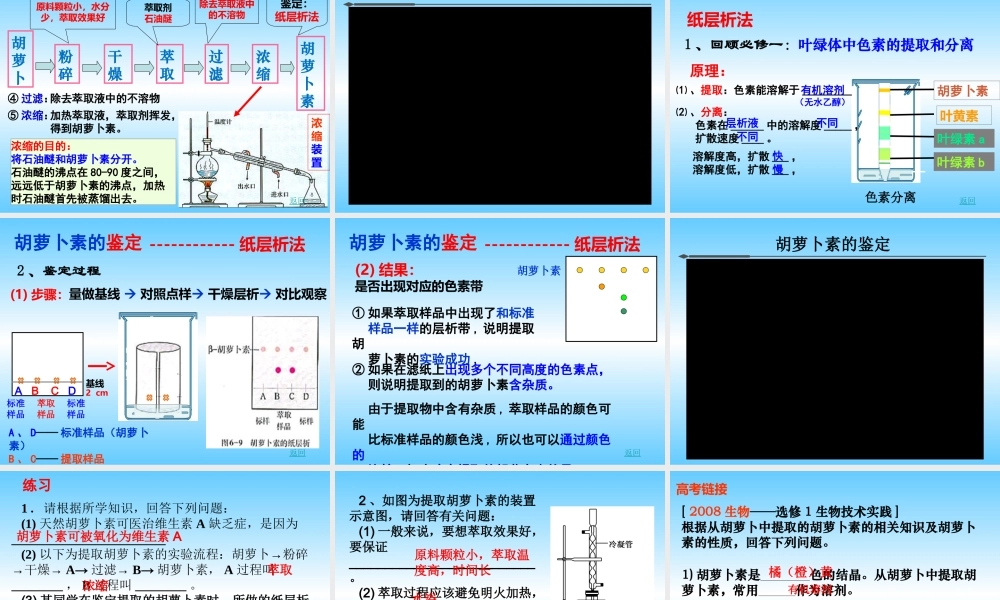 胡萝卜素的提取