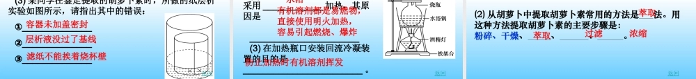 胡萝卜素的提取