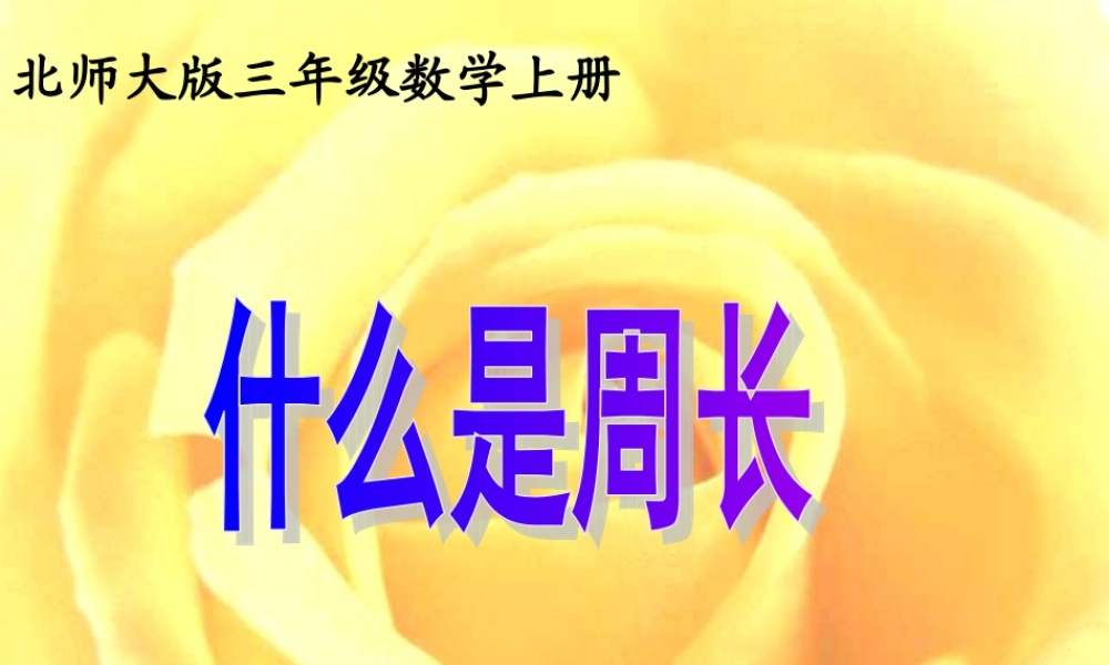 北师大版三年级上册《什么是周长》课件1