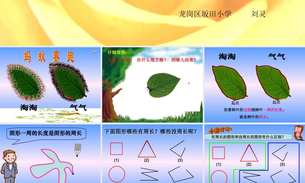 北师大版三年级上册《什么是周长》课件1