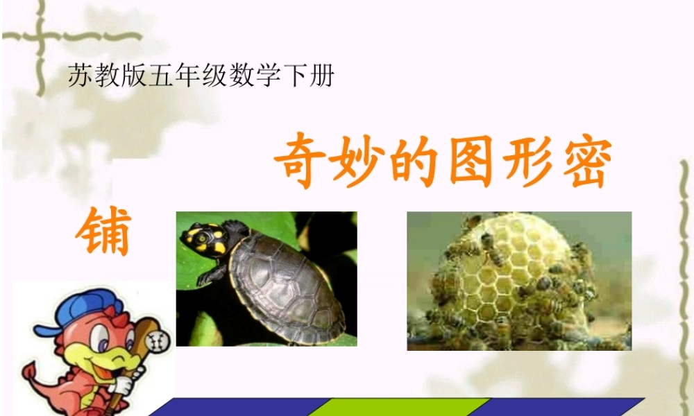 （苏教版）五年级数学下册课件《奇妙的图形密铺》