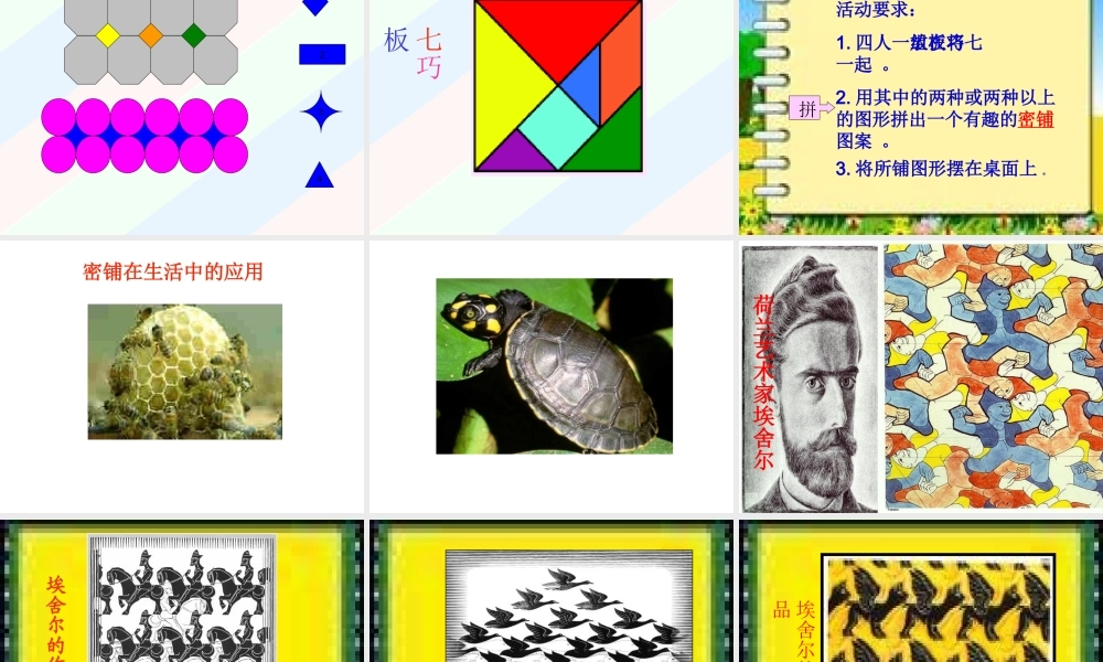 （苏教版）五年级数学下册课件《奇妙的图形密铺》