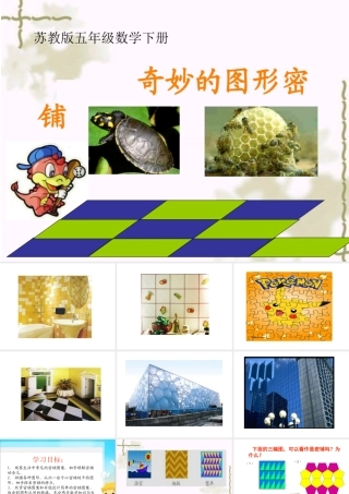 （苏教版）五年级数学下册课件《奇妙的图形密铺》