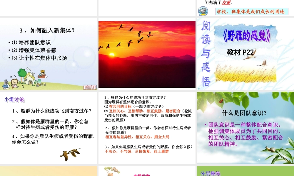 融入新集体第一课时