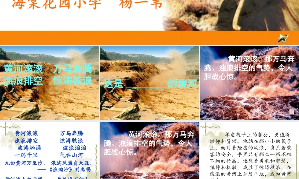 黄河的主人杨一苇