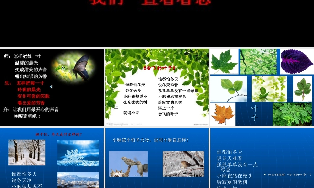 诗歌《会飞的叶子》晨诵