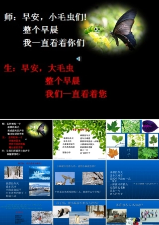 诗歌《会飞的叶子》晨诵