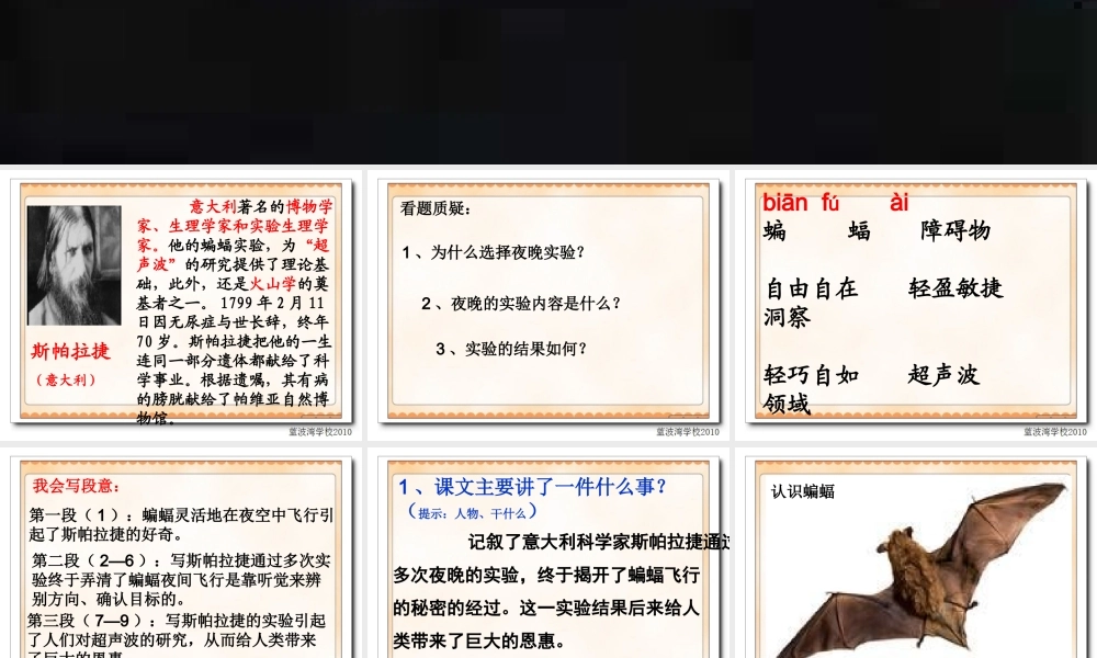 夜晚的实验课件