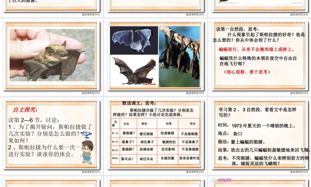 夜晚的实验课件