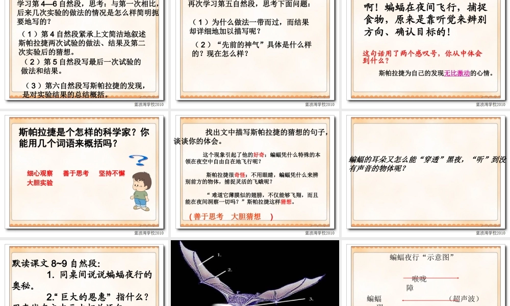 夜晚的实验课件