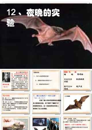 夜晚的实验课件