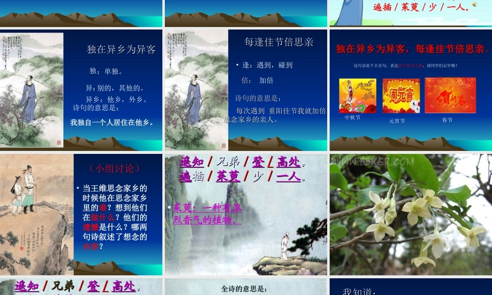 九月九日忆山东兄弟课件 (2)