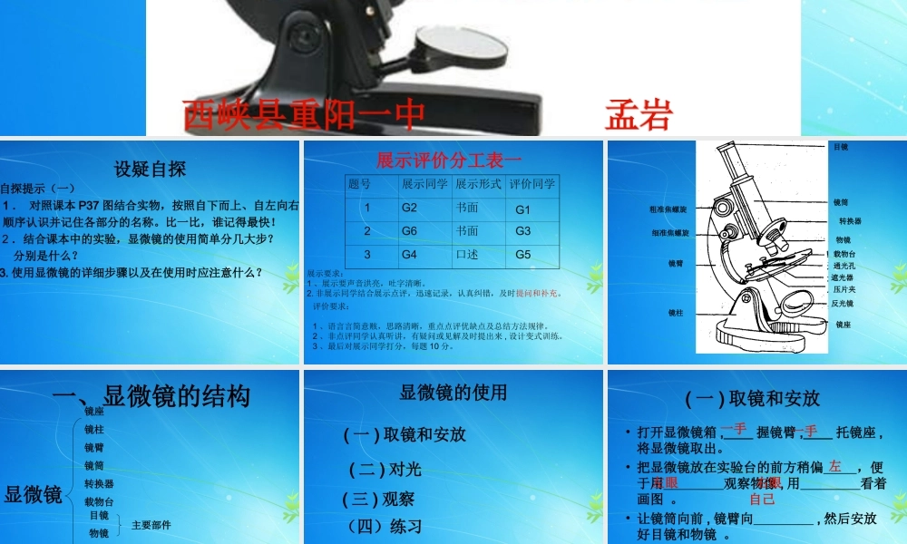 孟岩-练习使用显微镜