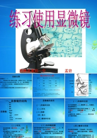 孟岩-练习使用显微镜