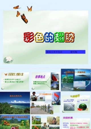《彩色的翅膀》课件2