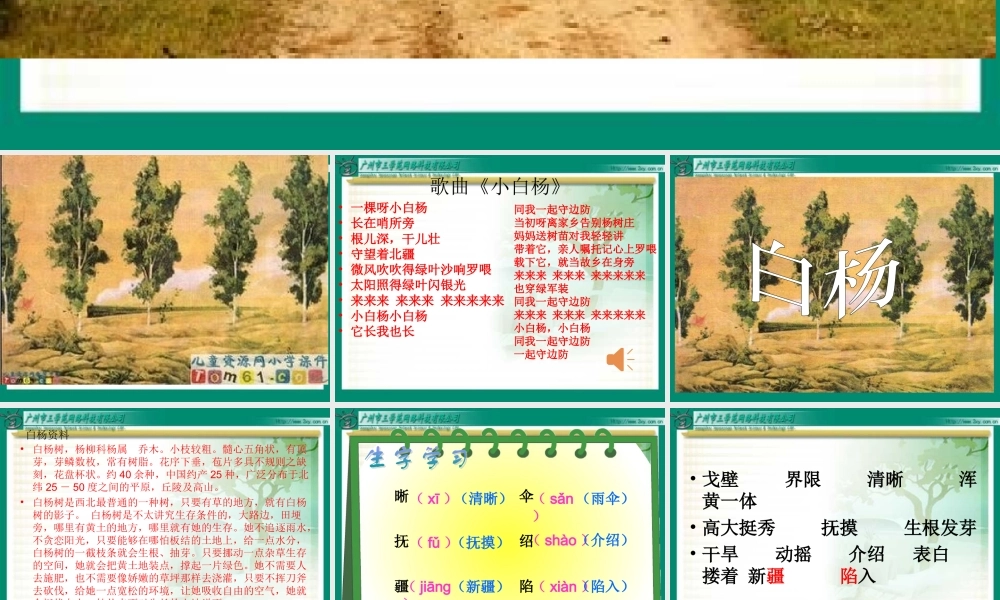 人教新课标版小学语文五年级下册第三课《白杨》PPT课件修改