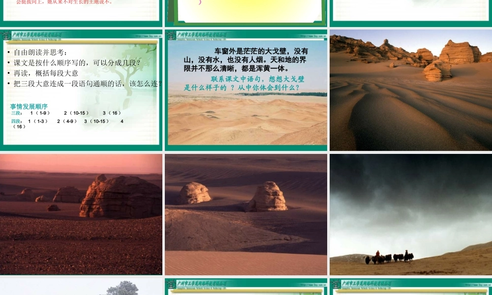 人教新课标版小学语文五年级下册第三课《白杨》PPT课件修改