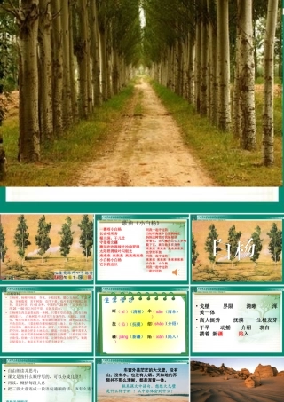 人教新课标版小学语文五年级下册第三课《白杨》PPT课件修改