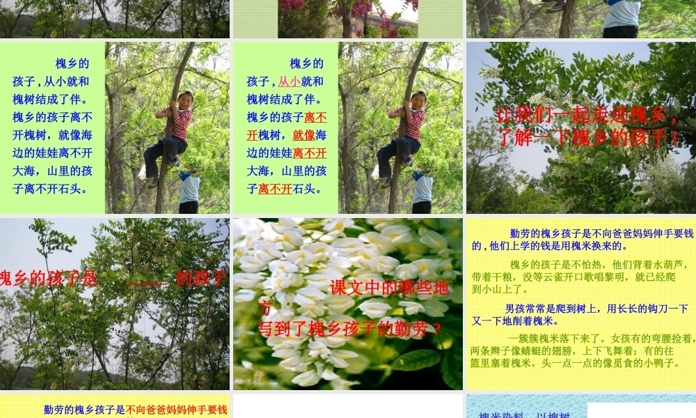 新课标人教版三年级语文上册《槐乡的孩子》PPT课件