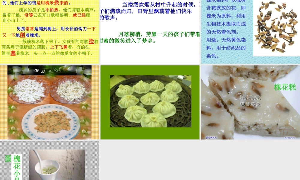 新课标人教版三年级语文上册《槐乡的孩子》PPT课件