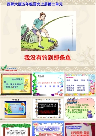 我没有钓到那条鱼